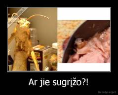 Ar jie sugrįžo?! - 