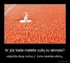 Ar jūs kada matėte zuikį su akiniais? - valgykite daug morkų ir  jums nereikės akinių.