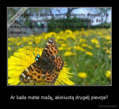 Ar kada matei mažą, akiniuotą drugelį pievoje? - 