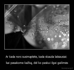 Ar kada nors susimąstėte, kada skauda labiausiai:  - kai pasakome kažką, dėl ko paskui ilgai gailimės