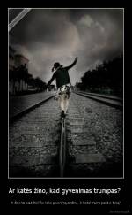 Ar katės žino, kad gyvenimas trumpas?  - Ar žino tai paukštis? Jie laiko gyvenimą amžinu. Ir kodėl mums pasakė tiesą?