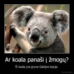 Ar koala panaši į žmogų? - Ši koala yra gryna Gabijos kopija 