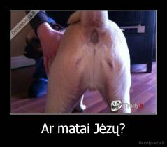Ar matai Jėzų? - 