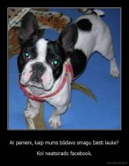 Ar pameni, kaip mums būdavo smagu žaisti lauke? - Kol neatsirado facebook.