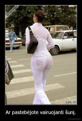 Ar pastebėjote vairuojanti šunį. - 