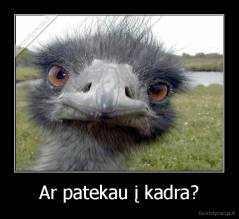 Ar patekau į kadra? - 