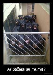 Ar pažaisi su mumis? - 