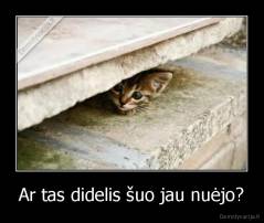 Ar tas didelis šuo jau nuėjo? - 
