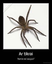 Ar tikrai - Namie esi saugus?