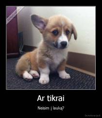 Ar tikrai - Neisim į lauką?