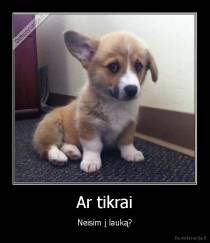 Ar tikrai - Neisim į lauką?