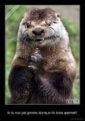 Ar tu nuo pat gimimo durna,ar tik tokia apsimeti? - 