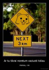 Ar tu tikrai noretum vaziuoti toliau - manau,- ne