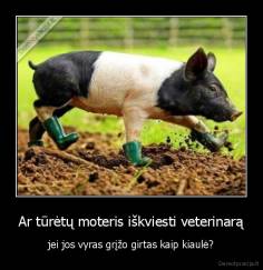 Ar tūrėtų moteris iškviesti veterinarą - jei jos vyras grįžo girtas kaip kiaulė?