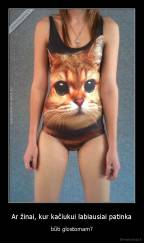 Ar žinai, kur kačiukui labiausiai patinka - būti glostomam?