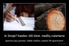 Ar žinojai? Kasdien 100 tūkst. medžių nukertama - egzaminų lapų gamybai. Gelbėk medžius, pasakyk NE egzaminams!