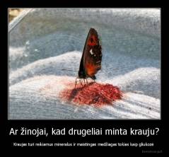 Ar žinojai, kad drugeliai minta krauju? - Kraujas turi reikiamus mineralus ir maistingas medžiagas tokias kaip gliukozė 