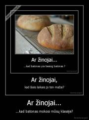 Ar žinojai... - ...kad batonas mokosi mūsų klasėje?