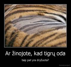 Ar žinojote, kad tigrų oda - taip pat yra dryžuota?