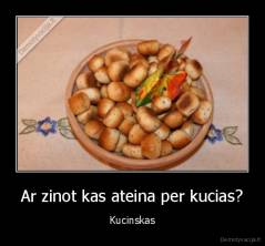 Ar zinot kas ateina per kucias? - Kucinskas