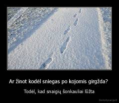 Ar žinot kodėl sniegas po kojomis girgžda?  - Todėl, kad snaigių šonkauliai lūžta