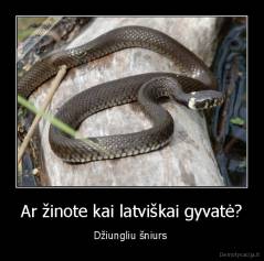 Ar žinote kai latviškai gyvatė? - Džiungliu šniurs 