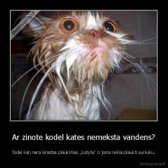 Ar zinote kodel kates nemeksta vandens? - Todel kan nera israstas plaukimas ,,katyte" o joms reikia plaukti suniuku.