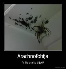 Arachnofobija - Ar čia yra ko bijoti?