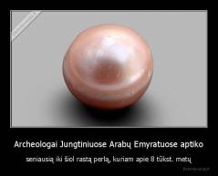 Archeologai Jungtiniuose Arabų Emyratuose aptiko - seniausią iki šiol rastą perlą, kuriam apie 8 tūkst. metų