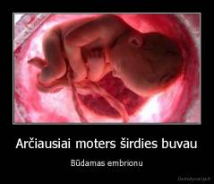 Arčiausiai moters širdies buvau - Būdamas embrionu