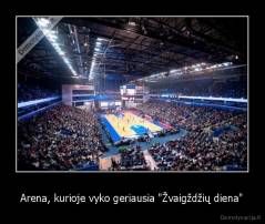 Arena, kurioje vyko geriausia "Žvaigždžių diena" - 