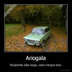 Ariogala - Nusipirkes zalia zioga, visos mergos tavo.