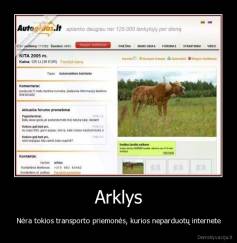 Arklys - Nėra tokios transporto priemonės, kurios neparduotų internete