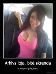 Arklys loja, bitė skrenda - o Anupras prie jūros.