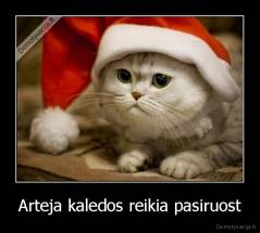 Arteja kaledos reikia pasiruost - 
