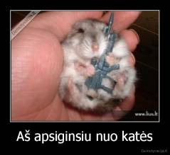 Aš apsiginsiu nuo katės - 