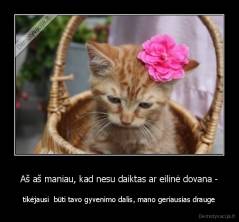 Aš aš maniau, kad nesu daiktas ar eilinė dovana - - tikėjausi  būti tavo gyvenimo dalis, mano geriausias drauge