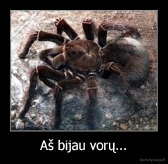 Aš bijau vorų... - 
