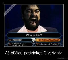 Aš būčiau pasirinkęs C variantą - 