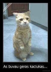 As buvau geras kaciukas... - 