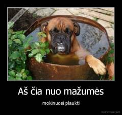 Aš čia nuo mažumės - mokinuosi plaukti