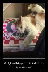 Aš elgiuosi taip pat, kaip šis katinas, - kai atkeliauja pica.