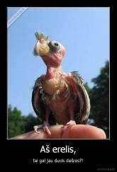 Aš erelis, - tai gal jau duok dešros?!