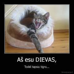Aš esu DIEVAS, - Todėl tapsiu tigru...