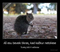 Aš esu beveik tikras, kad kažkur netoliese - Turėtų būti 4 vėžliukai