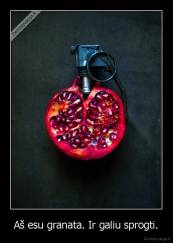 Aš esu granata. Ir galiu sprogti. - 