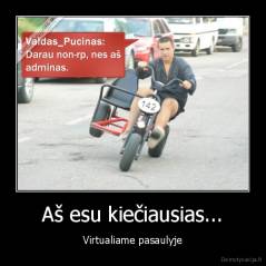 Aš esu kiečiausias... - Virtualiame pasaulyje