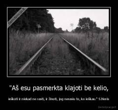 "Aš esu pasmerkta klajoti be kelio, - ieškoti ir niekad ne rasti, ir žinoti, jog nerasiu to, ko ieškau." S.Neris