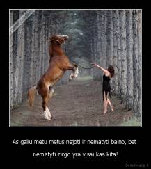 As galiu metu metus nejoti ir nematyti balno, bet  - nematyti zirgo yra visai kas kita!
