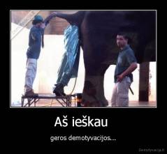 Aš ieškau  - geros demotyvacijos...